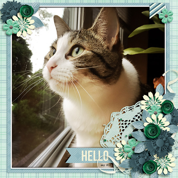 Created by weaselwatchr. I love cat pictures and this layout is just gorgeous! 