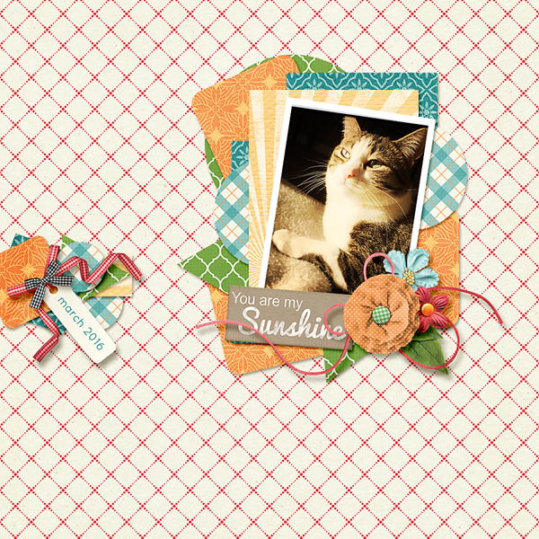 Created by weaselwatchr. I love the kitty, and the layering behind the photo!