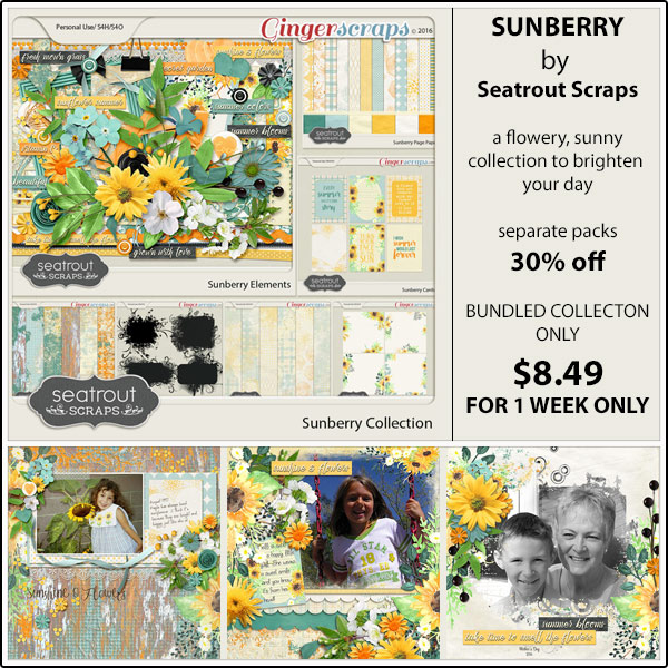 https://store.gingerscraps.net/Sunberry-Bundled-Collection.html